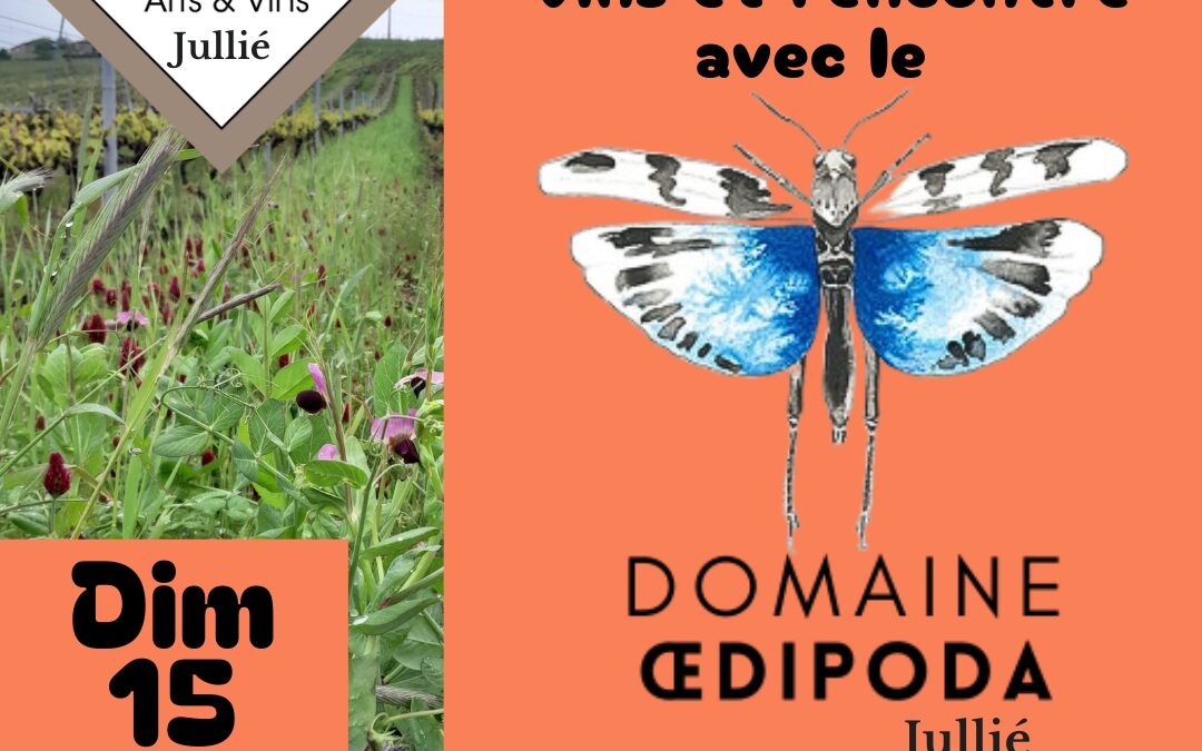 Dim 15 déc à 11h : dégustation avec le domaine Œdipoda